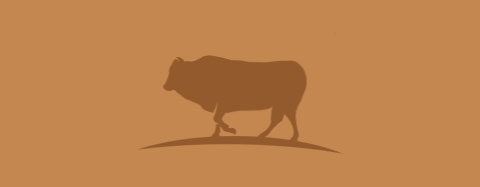 Broschyr Limousin